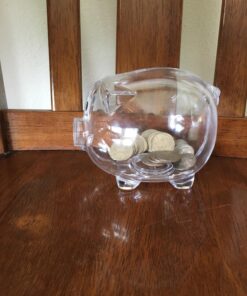 Windy City Novelties Small Educational Kids Clear Plastic Piggy Banks 41 81jFTQSVAdL