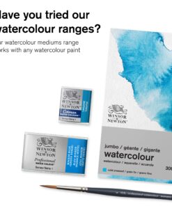 Winsor & Newton Watercolor Medium, Gum Arabic, 75ml (2.5-oz) bottle, Pale 2.5-oz Bottle 16 81jGGcRgBCL 3