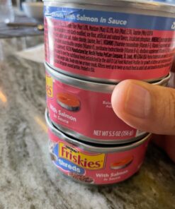 Purina Friskies Wet Cat Food, Shreds With Salmon in Sauce - (24) 5.5 oz. Cans 5.5 Ounce (Pack of 24) 34 81jIXBU0OFL