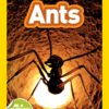 National Geographic Readers: Ants 37 81jJBpdUO5L