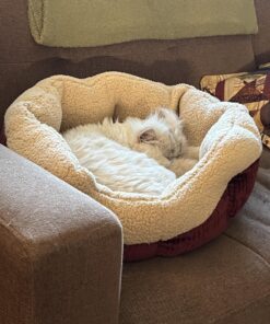 Petmate Aspen Pet Self Warming Round Bed, 19.5 Inches, Barn Red and Cream 19.5"L x 19.5"W x 7.0"Th 37 81jJkLJMmwL