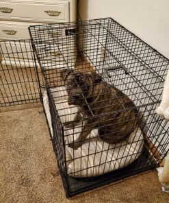 MidWest Homes for Pets Large Dog Crate | MidWest Life Stages Double Door Folding Metal Crate | Divider Panel, Floor Protecting Feet, Leak-Proof Pan | 42L x 28W x 31H Inches For Large Dog Breed 42.0"L x 28.0"W x 30.0"H Lifestages; Double Door 56 81jLyNwexL