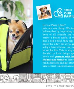 Paws & Pals Airline Approved Pet Carrier - Soft-Sided Carriers for Small Medium Cats and Dogs Air-Plane Travel On-Board Under Seat Carrying Bag with Fleece Bolster Bed for Kitten Cat Puppy Dog Taxi Green 34 81jNyT67YwL