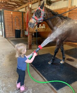 Gilmour 855032-1001 Fireman’s High-Pressure PRO Spray Nozzle with Large, Red/Black 22 81jO2nX3TLL