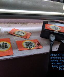 TERRO Liquid Ant Killer ll T200, 2 oz 49 81jTKpf57VL