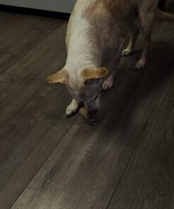 DentaLife Made in USA Facilities Small/Medium Dog Dental Chews, Daily - 40 ct. Pouch 40 Count (Pack of 1) 32 81jX E08qkL