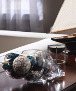 Hosley Glass Shell Vase 8 Inches Long Ideal Gift for Weddings Spa Aromatherapy Flower Arrangements Bowl for Orbs DIY Craft Projects LED Votive Candle Gardens O9 20 81jY1XeqKlL