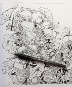 Mythographic Color and Discover: Animals: An Artist's Coloring Book of Amazing Creatures and Hidden Objects 40 81jYQV7RVSL