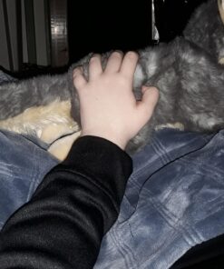 Aurora® Adorable Miyoni® Wolf Stuffed Animal - Lifelike Detail - Cherished Companionship - Gray 16 Inches 19 81jYTNUJm3L