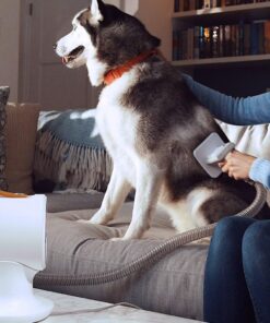 AIRROBO Dog Hair Vacuum & Dog Grooming Kit, 12000Pa Strong Pet Grooming Vacuum, 2L Large Capacity Dog Vacuum for Shedding Grooming Hair, Quiet, 5 Pet Grooming Tools, PG100 41 81jbtzFGQlL