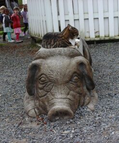 VTech KidiZoom Camera Pix, Pink (Frustration Free Packaging) Frustration-Free Packaging 36 81jd0ZObonL