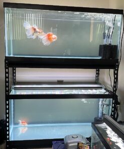 Hydrofarm AAPA15L Active Aqua, 4 Outlets, 6W, 15 L/min Air Pump, Silver,Grey 27 81jecqfNFaL