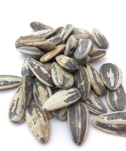 Salt and Balsamic Vinegar Flavored Sunflower Seeds - Seasoned and Roasted in Shell for a Bold Taste - 8 oz. Salt and Balsamic Vinegar 8 Ounce (Pack of 1) 4 81jfIblfGzL