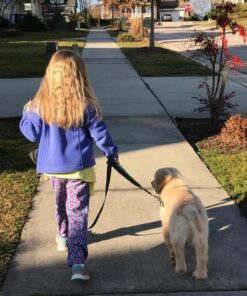 Black Rhino Dog Leash - Heavy Duty - Medium & Large Dogs | 6ft Long Leashes | Two Traffic Padded Comfort Handles for Safety Control Training - Double Handle Reflective Lead - (Aqua) Aqua 43 81jkCQL8GL