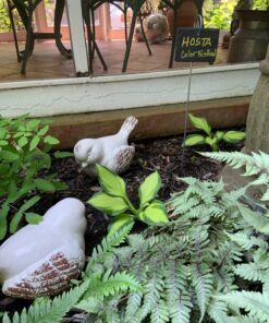 GardenMate 10-Pack Natural Style Slate Plant Labels (4"x 2 3/4") Hanging from a Stainless Steel Metal Rod (22") 10-Pack 4"x 2 3/4" Labels with 22" Metal Rod 36 81joj9dHFML