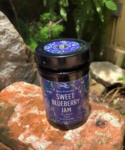 GOOD GOOD No Added Sugar Blueberry Jam - Keto Friendly Jelly - Low Carb, Low-Calorie and Vegan - Diabetic Friendly - 12oz / 330g (Pack of 1) 12 Ounce (Pack of 1) 47 81jpEBhRizL