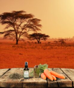 Shea Terra Egyptian Carrot Seed Cold-Pressed Extra Virgin Oil | Nutrient Rich, All Natural & Organic Oil with Anti-Aging Vitamin A, E and Beta-Carotene for Maturing and Damaged Skin Types – 2 oz 2 Fl Oz (Pack of 1) 9 81jpOm5fSAL