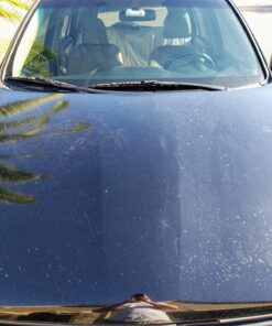 Meguiar's Dual Action Power System Tool: Get Professional Results Compounding, Polishing, and Waxing - Attaches to a Standard Drill - Easy to Use Car Polishing Tool DA Power System Tool 45 81jqBrAX0fL