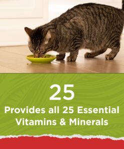 Purina Cat Chow Naturals With Added Vitamins, Minerals and Nutrients Dry Cat Food, Naturals Original - 13 lb. Bag Chicken & Salmon 13.00 Pound (Pack of 1) 26 81jsij1F1IL