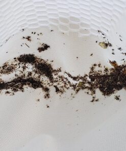 Bucket Lidz Pool Skimmer net -TK Pool net-Sand/Silt for Small Bugs net/Small Debris Triluca 18 81jtnGsHQAL