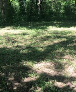 Antler King Honey Hole Mix 45 81jtxsy20bL