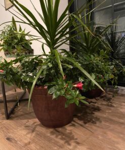 The HC Companies 16 Inch Sierra Round Self Watering Planter - Weather Resistant Plastic Resin Flower Garden Plant Pot Container, Rustic Redstone 16" 23 81jvSUivDL