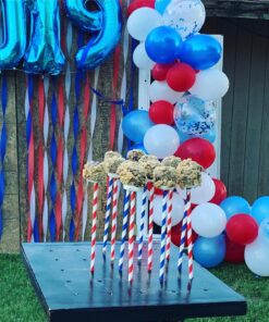 AGPtEK Electric Air Balloon Pump with Built-in Tying Tool, 110V 600W Pink and White Portable Dual Nozzle Inflator/Blower for Party Decoration-with Tying Tool on Handle 38 81k1gFhXy1L