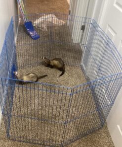 Kaytee Pet-N-Playpen with Mat for Pet Rabbits, Guinea Pigs, Ferrets or Other Small Animals 25 81k3vIS9YKL