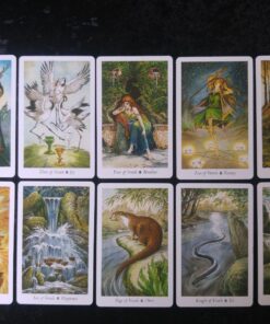 The Wildwood Tarot Deck: Wherein Wisdom Resides (Modern Tarot Library) 67 81k6eKcSPBL