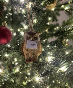 George S. Chen Imports SS-G-54281 Imports Owl Figurines (Set of 4), 2" 29 81k6zckRaML