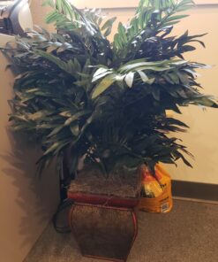 Nearly Natural 6718 35in. Double Bamboo Palm with Decorative Planter Silk Plant,Green Green 35in. 24 81k7 5YU7bL