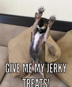 Triumph Dog Turkey, Pea, & Berry Grain Free Jerky, 24-Ounce 1.5 Pound (Pack of 1) 40 81k8C7F3L L