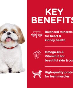 Hill's Science Diet Dry Dog Food, Adult 7+ for Senior Dogs, Small Bites, Chicken Meal, Barley & Brown Rice Recipe, 33 lb. Bag 33 Pound (Pack of 1) 20 81k8RyWmRrL