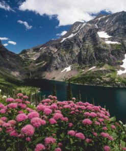 Canon EF-M 11-22mm f/4-5.6 STM Lens 30 81k8XWXDzJL