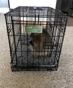 MidWest Homes for Pets Newly Enhanced Double Door iCrate Dog Crate, Includes Leak-Proof Pan, Floor Protecting Feet, Divider Panel & New Patented Features X-Small 58 81k8zGB3HUL 1