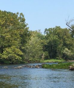 Hammers Collapsible Wading Staff Fishing Stick, Black 9 81k9JZUCV7L