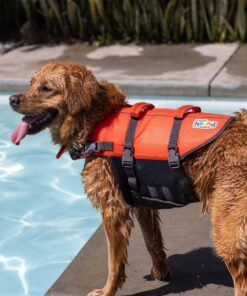 Outward Hound Granby Splash Orange Dog Life Jacket, Small Granby (Flotation) Small (Chest Girth: 16"-20") 34 81kBl3cCbL 1