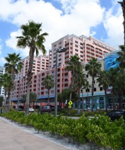 Nikon Z7 FX-Format Mirrorless Camera Body w/ NIKKOR Z 24-70mm f/4 S w/ 24-70mm Base 46 81kIwrAOVrL