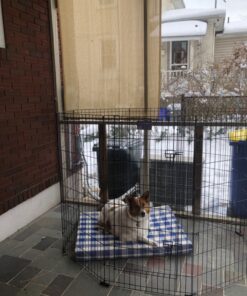 MidWest Homes for Pets Foldable Metal Dog Exercise Pen / Pet Playpen, Black w/ door, 24'W x 48'H, 1-Year Manufacturer's Warranty 48" H 46 81kJgQtu85L