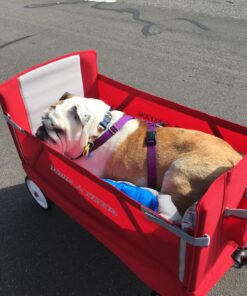 Radio Flyer 3-in-1 EZ Folding Wagon Ride On For Kids, Garden, & Cargo, Red Collapsible Wagon Base 55 81kMvOvELL