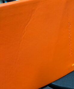 Panda Planner Pro - Best Daily 2023 Planner for Happiness & Productivity - 8.5 x 11" Softcover - Undated Day 6 Month Planner - Guaranteed to Get You Organized - Gratitude & Goals Journal (Orange) Orange 23 81kOCXvd1qL 1