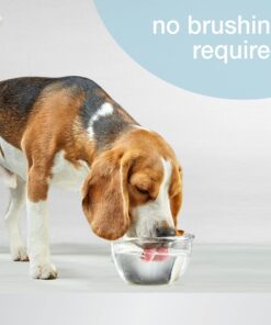 Alternative view of Nylabone Advanced Oral Care Dog Water Additive for Dental Care - Liquid Tartar Remover - Dog Breath Freshener & Teeth-Cleaning Liquid (32 oz.) 32 oz. (Pack of 1)