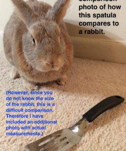 OXO Good Grips Stainless Steel Cut and Serve Turner, Black Stainless Steel Turner 42 81kQhZHWWVL