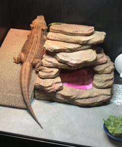 GoPets Premium Cat Scratcher - Wedge Shaped Corrugated Cardboard, Ergonomic Scratching Posts, Reversible Design, Lasts 2X Longer, with 1 Pack Catnip & Hidden Toy Cutouts for Endless Feline Play Fun 54 81kRIRnCpFL 1