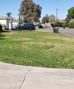 Scotts Turf Builder Grass Seed Bermudagrass, Mix for Full Sun, Built to Stand Up to Heat & Drought, 5 lbs. 5 lb. 83 81kShWwmLML