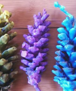 Country Lane Darice General Purpose Candle Making Wax-10 Lb Block 3 81kW43pOW5L