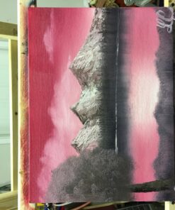 Martin/ F. Weber Bob Ross Master Paint Set 24 81kaTV8qxyL