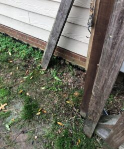 Scotts Turf Builder WinterGuard Fall Weed & Feed3, Weed Killer Plus Fall Fertilizer, 5,000 sq. ft., 14.29 lbs. 5,000 sq. ft. 33 81kbHLkBN9L