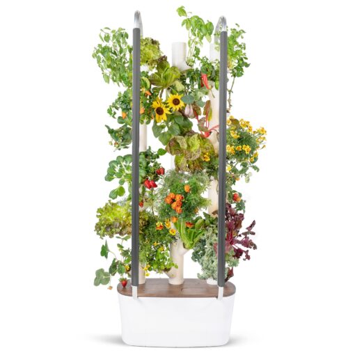 Gardyn 3.0 Hydroponics Growing System & Vertical Garden Planter | Indoor Smart Garden| Includes 30 Non-GMO Indoor Plants, Herbs & Vegetables & LED Grow Lights for Your Home Indoor Gardening System GEN 3.0