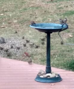 K&H Pet Products Perfect Bucket Heater w/ Cord Clip Gray 5" 80W 52 81kiJ5FcvGL